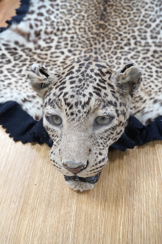 An early 20th century leopard skin rug with taxidermy head by van Ingen and van Ingen, Mysore, makers name stamped to the back, 215cm long. Condition - poor